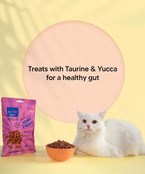 Cat Pillows - Sensitive Gut Treats - Image 5