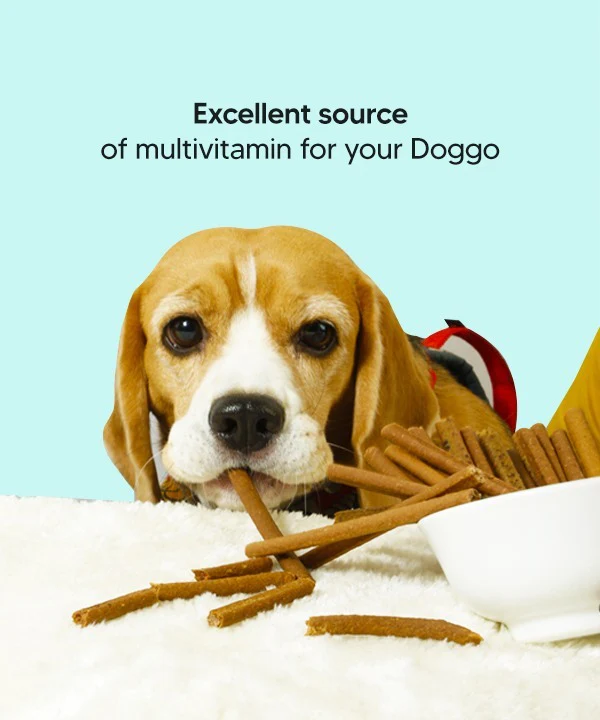 Multivitamin Immunity Chewstix - Image 6