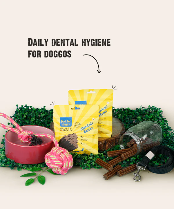 Dental Sticks - Oral Hygiene Treats - Image 3