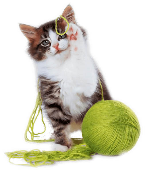 img_2.png Vet supplies - Four Pawz